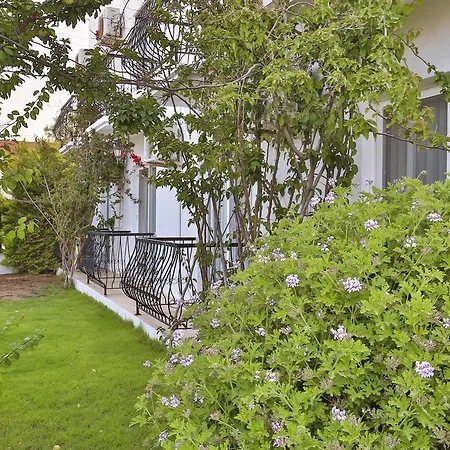 Kiraz Butik 3* アラカティ