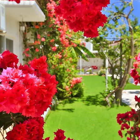 Bed and breakfast Kiraz Butik
