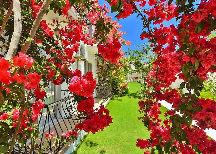 Bed & Breakfast Kiraz Butik 3*